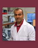 FSU College of Health and Human Sciences team receives grant to study diet for healthy aging