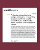 Antibiotic-resistant bacteria and gut microbiome communities associated with wild-caught shrimp from the United States versus imported farm-raised retail shrimp