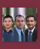 HNFS researchers recieve grant from the USDA to explore pea protein's ability to modulate human gut microbiota