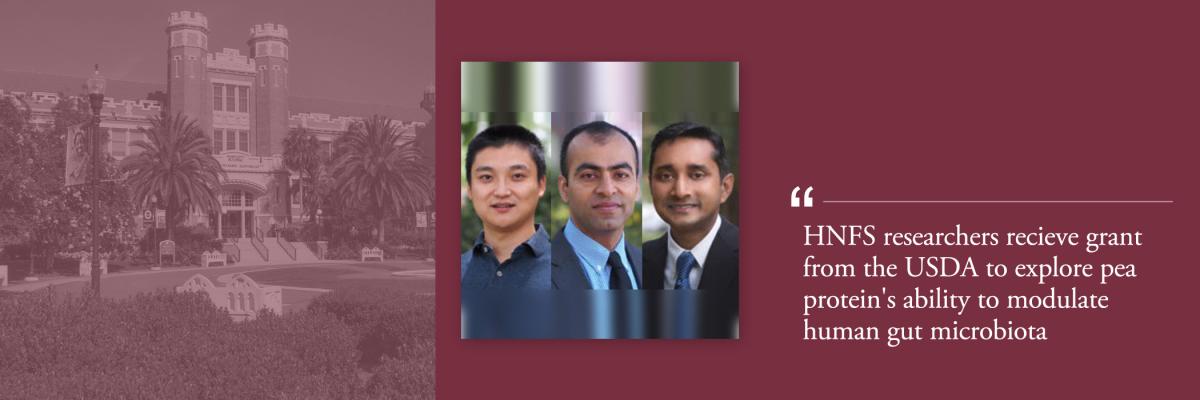 HNFS researchers recieve grant from the USDA to explore pea protein's ability to modulate human gut microbiota