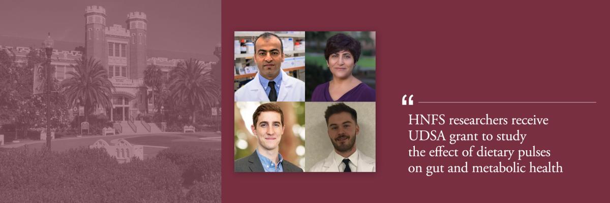 HNFS researchers receive USDA grant to study the effect of dietary pulses on gut and metabolic health